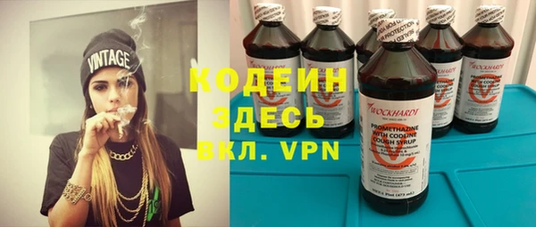 ГАЛЛЮЦИНОГЕННЫЕ ГРИБЫ Гусь-Хрустальный