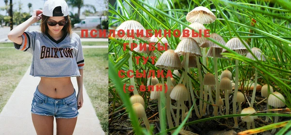 прущий лед Гусев