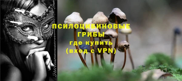 ГАЛЛЮЦИНОГЕННЫЕ ГРИБЫ Гусь-Хрустальный