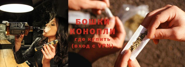 ГАЛЛЮЦИНОГЕННЫЕ ГРИБЫ Гусь-Хрустальный