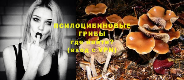 а пвп мука Гусиноозёрск