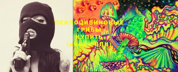 кристаллы Дмитриев