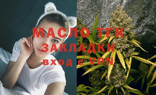 ГАЛЛЮЦИНОГЕННЫЕ ГРИБЫ Гусь-Хрустальный