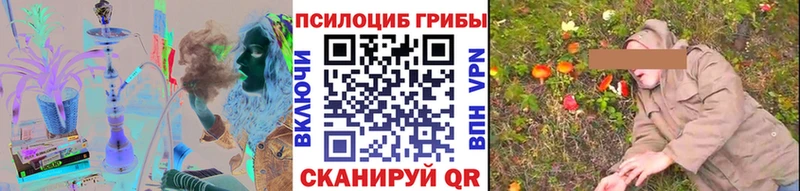 Купить  Нурлат  Псилоцибиновые грибы GOLDEN TEACHER 