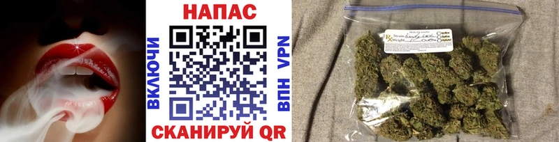 Конопля ГИДРОПОН  Купить  Нурлат 